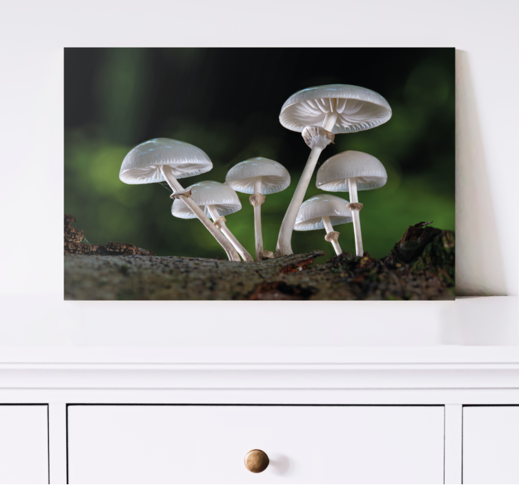 Flowers canvas mushroom forest landscape - TenStickers
