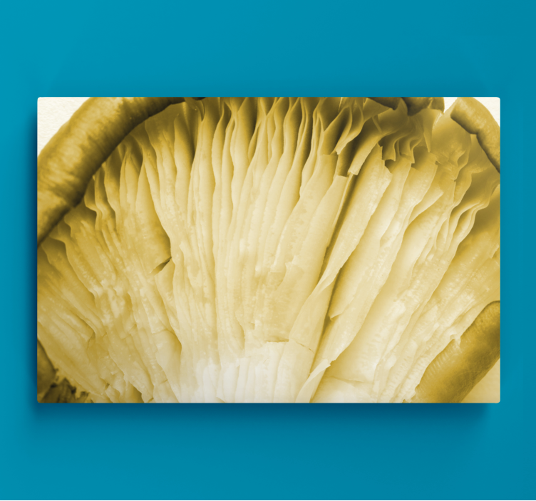 Flowers canvas mushroom gills - TenStickers
