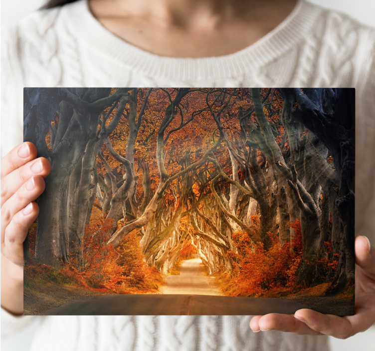 Mysterious autumn path landscape canvas - TenStickers