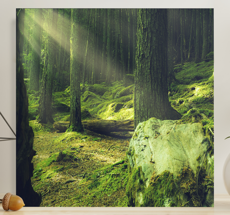 "Nature" rocks moss in forest Tree wall canvas - TenStickers