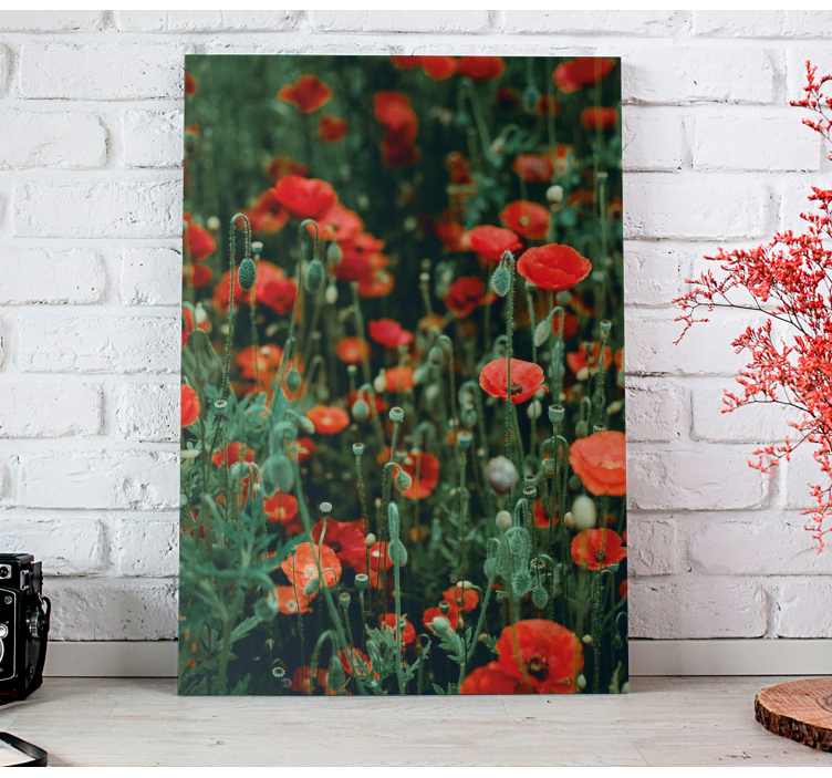 Poppy and small white flowers flower canvas - TenStickers
