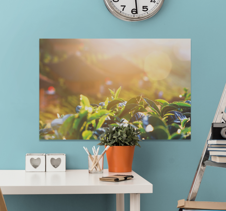 Sunlit Rainforest canvas prints - TenStickers