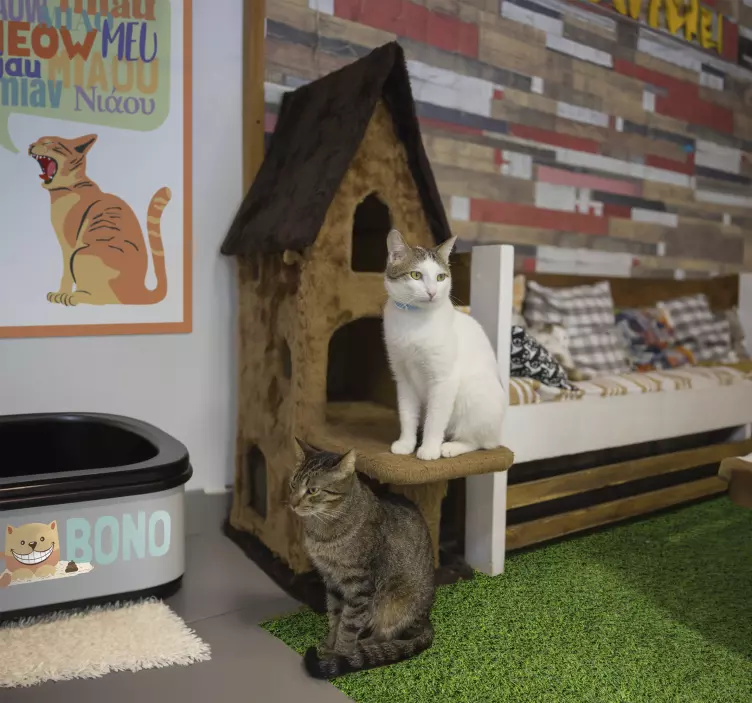 cat litter box name wall sticker - TenStickers