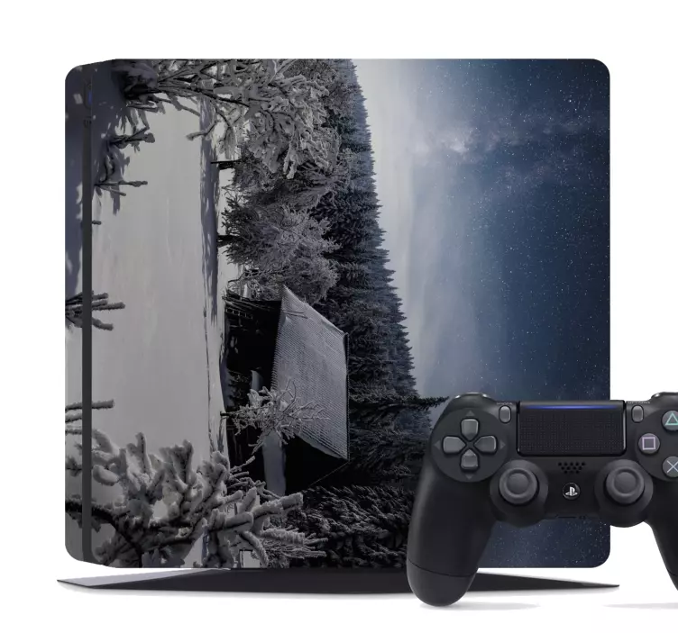 Frosted landscape scene PS4 skin - TenStickers