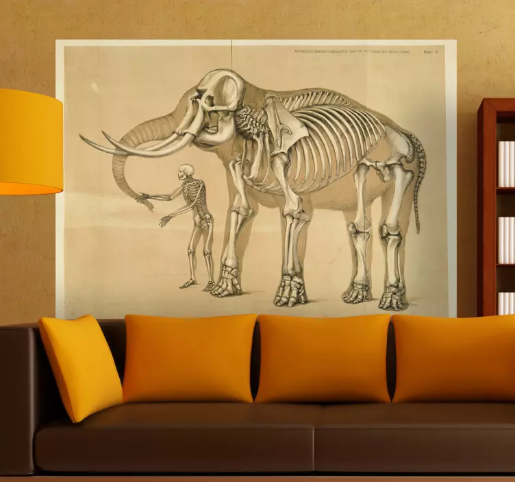 Man and Elephant Skeleton Decorative Decal - TenStickers