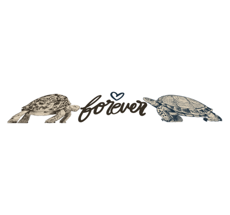 Animal vinyl rug turtles forever love quote - TenStickers