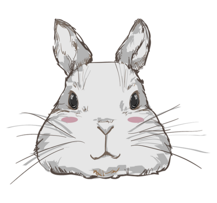 Cute rabbit head animal vinyl rug - TenStickers