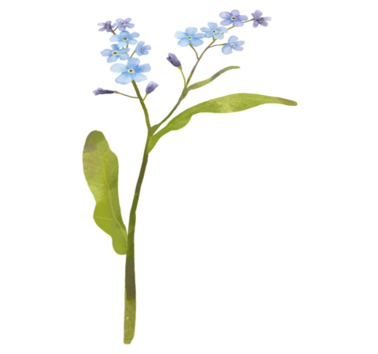 Forget-me-not flower vinyl rug - TenStickers