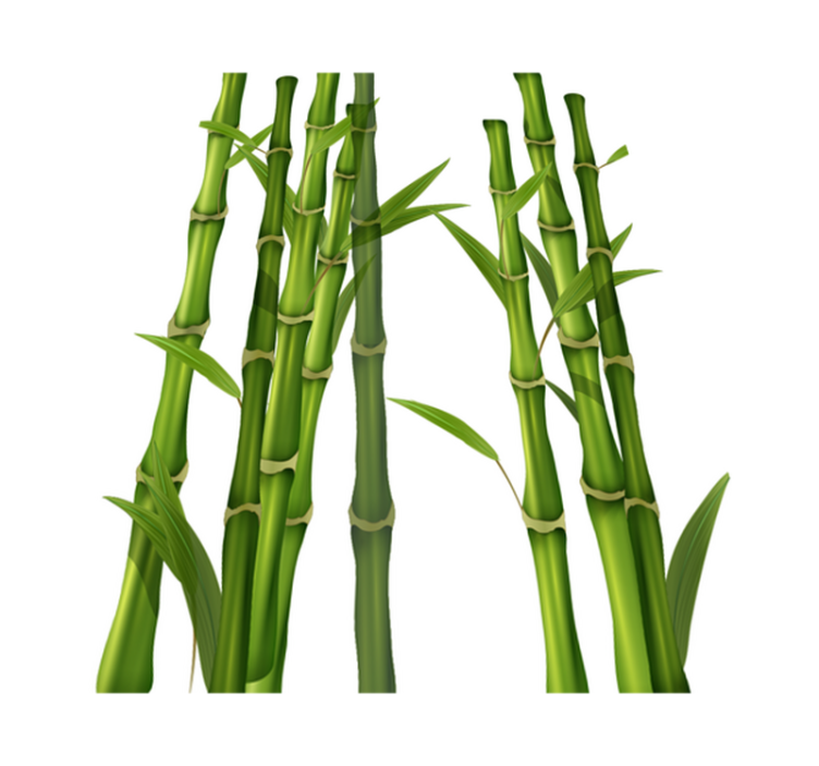 Bathroom vinyl rug bamboo pattern - TenStickers