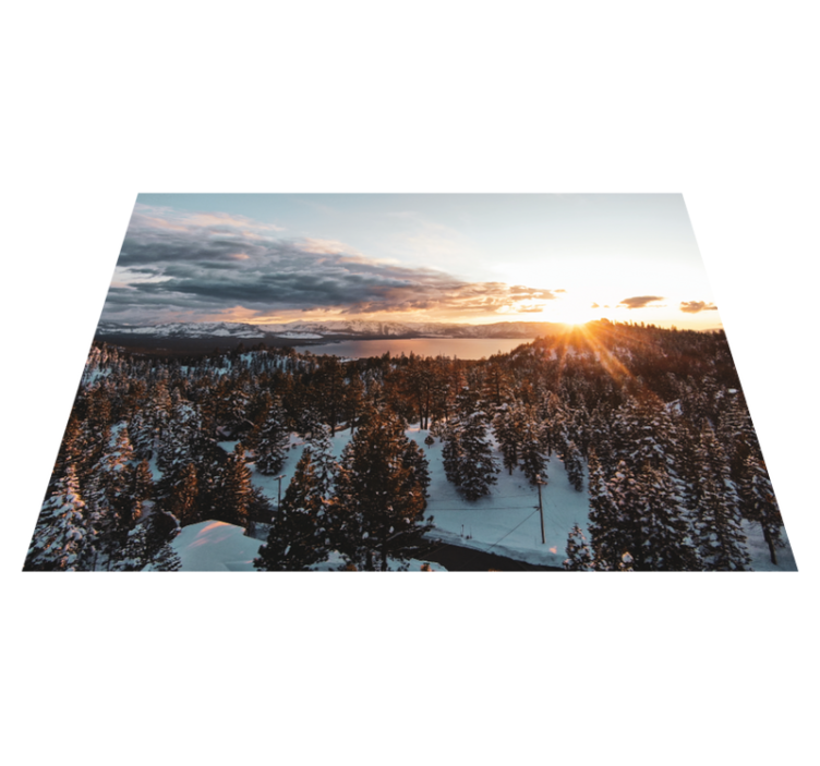 Nature vinyl rug lush forest scenery - TenStickers