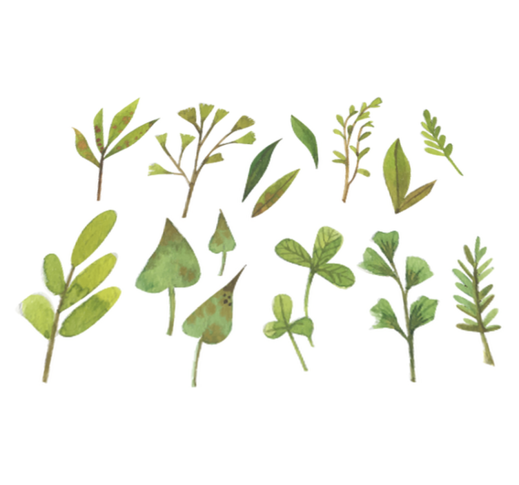 Flower vinyl rug aquarella small leaves - TenStickers