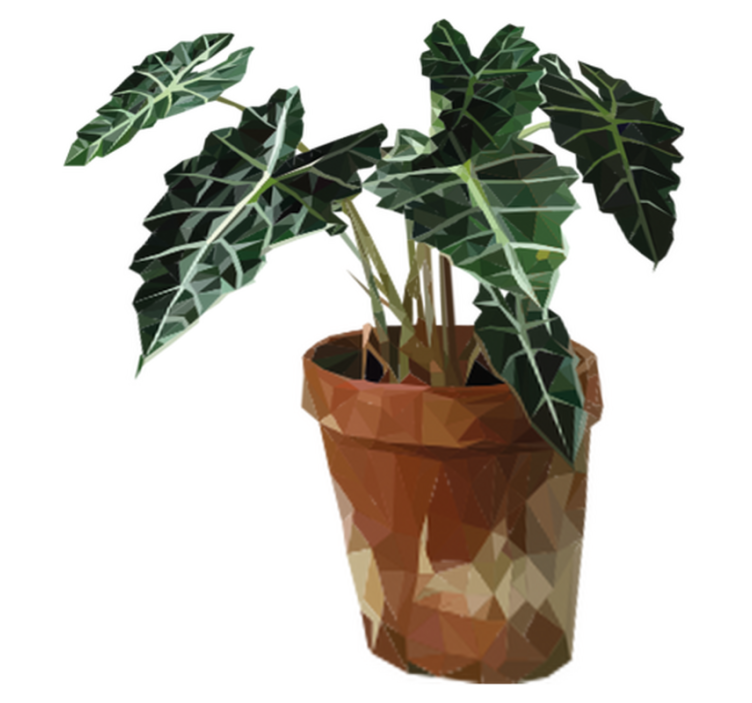 Flower vinyl rug with geometric plant pot - TenStickers