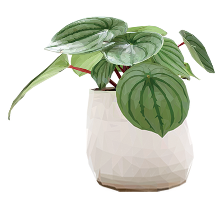 Flower vinyl rug for easy home greenery - TenStickers