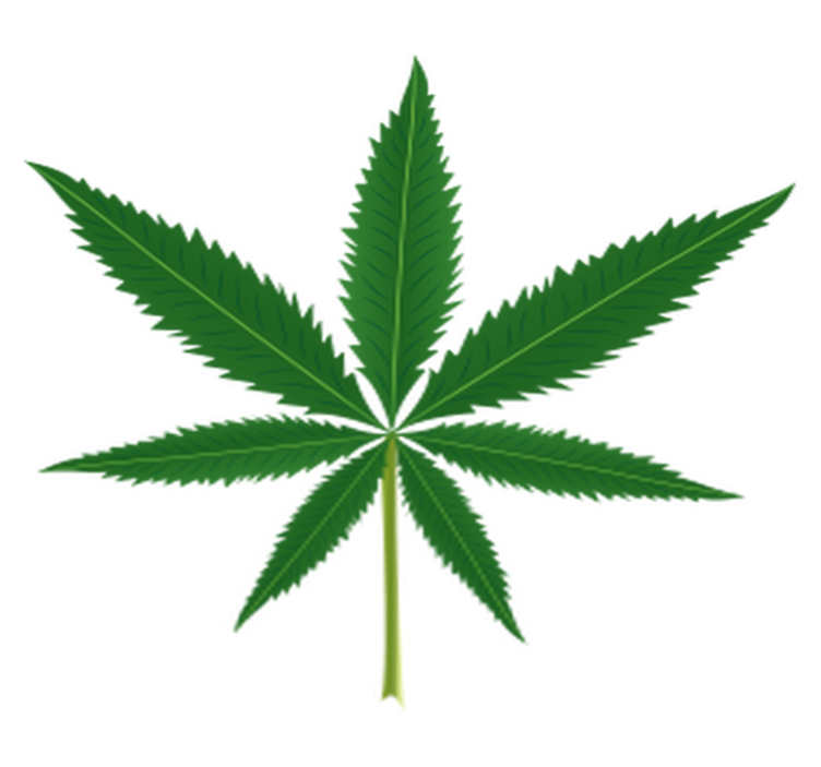 Flower vinyl rug with marijuana leaf design - TenStickers