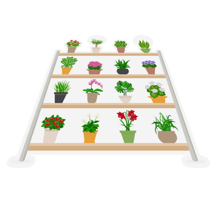 Kitchen vinyl rug with houseplants on shelves - TenStickers