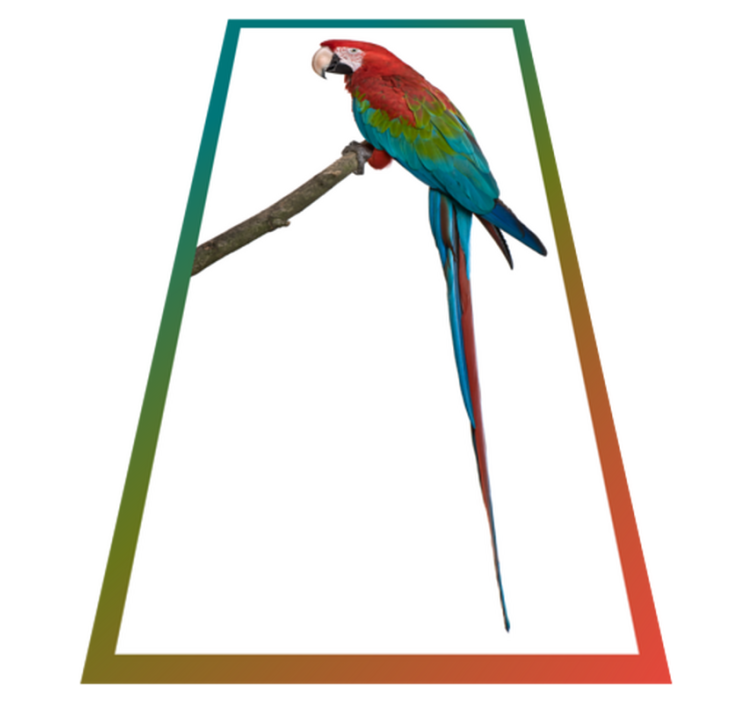 Colorful macaw animal vinyl rug - TenStickers