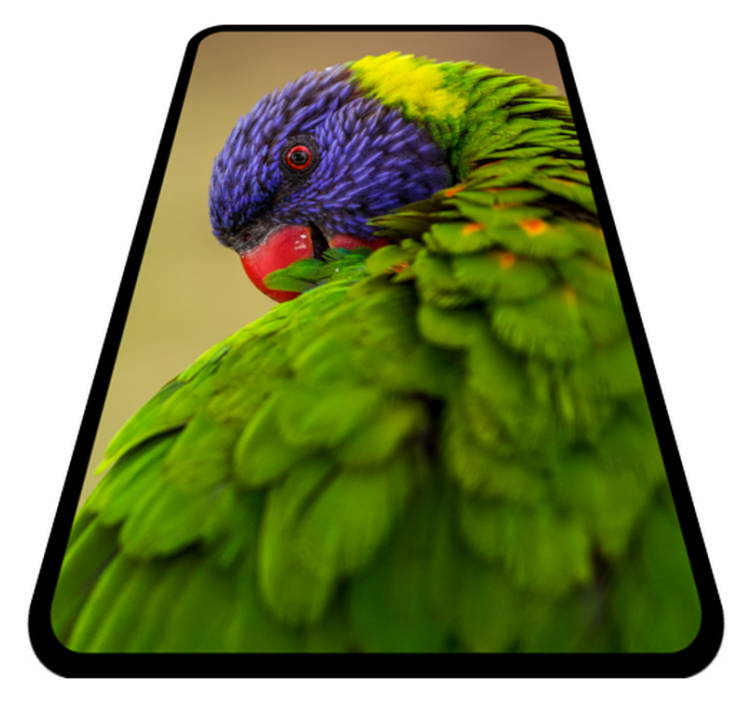 Colorful parrot portrait animal vinyl rug - TenStickers