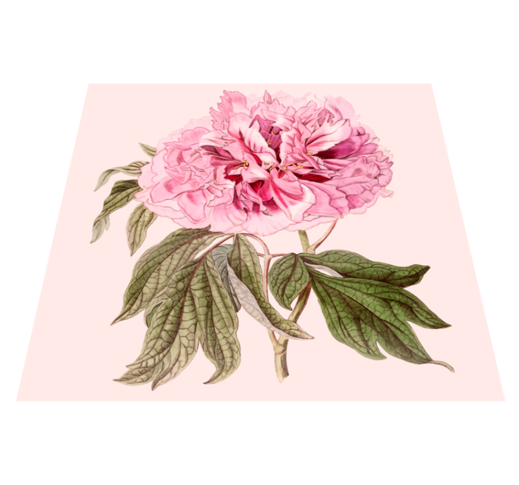 Pink Peony Blossom flower vinyl rug - TenStickers