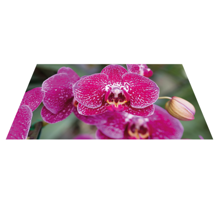Vibrant Orchid Blooms flower vinyl rug - TenStickers