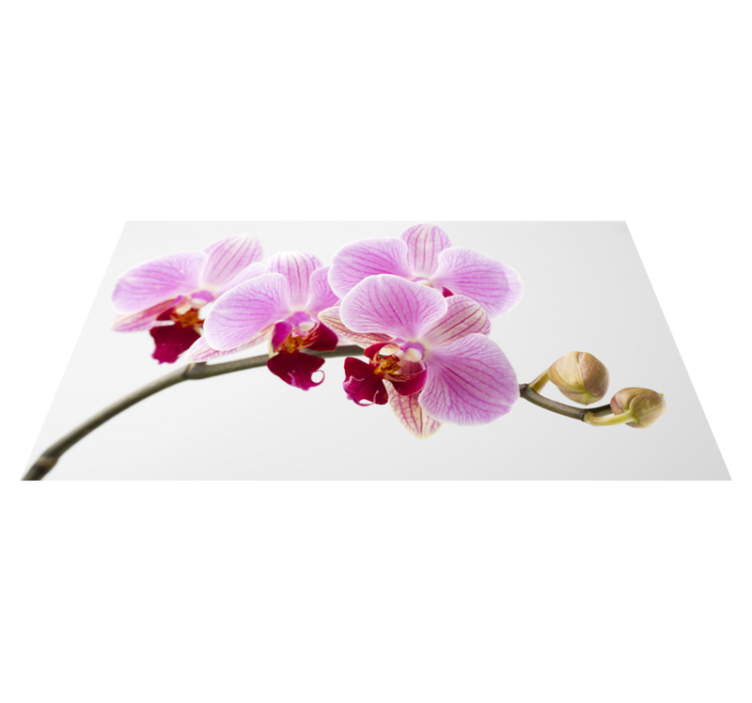 Pink orchid design flower vinyl rug - TenStickers