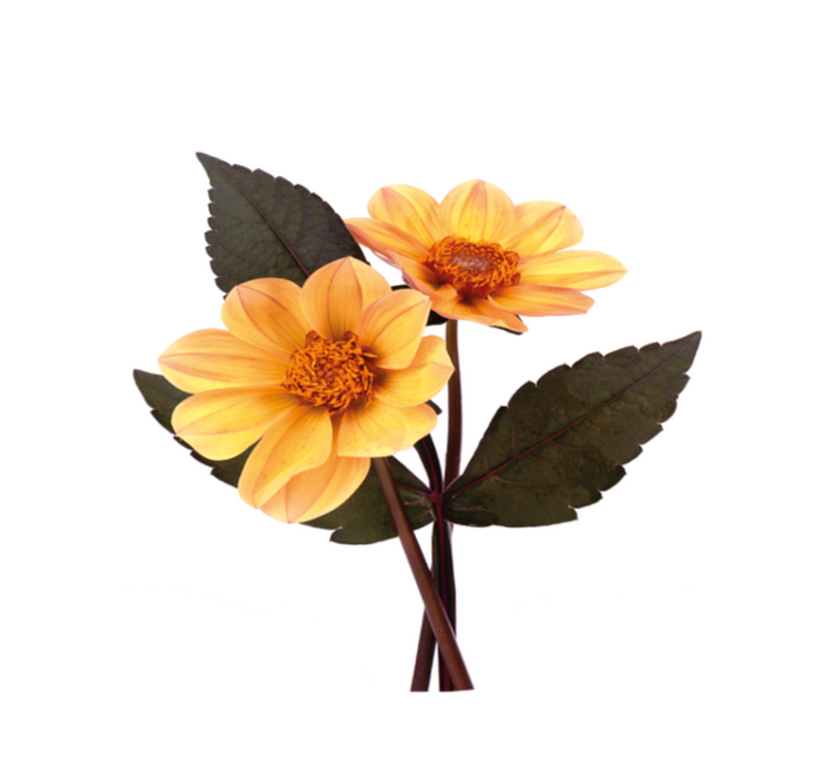 Lively Bloom Composition flower vinyl rug - TenStickers