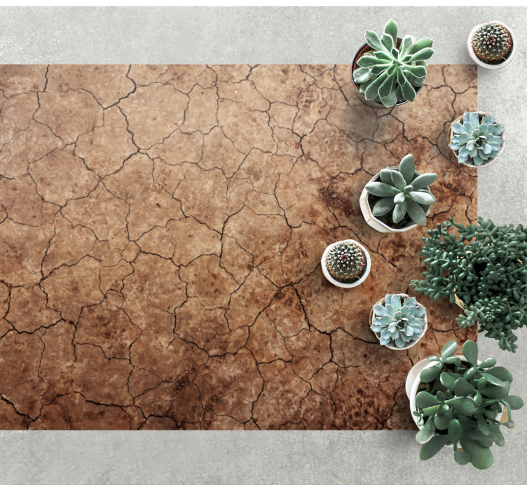 Cracked Earth Texture stone effect vinyl rug - TenStickers