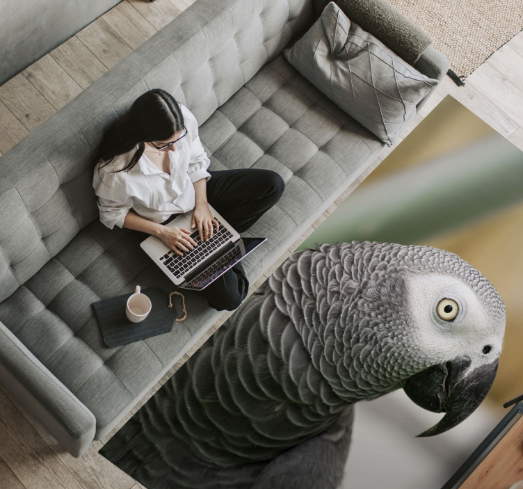 Gray parrot closeup animal vinyl rug - TenStickers