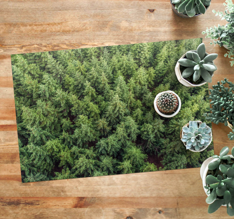 Vinyl rug for living room landscape forest - TenStickers