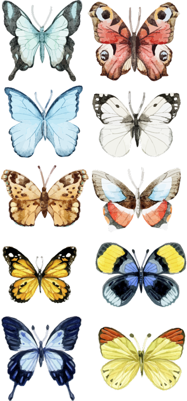 Ten colorful butterflies animal vinyl rug - TenStickers