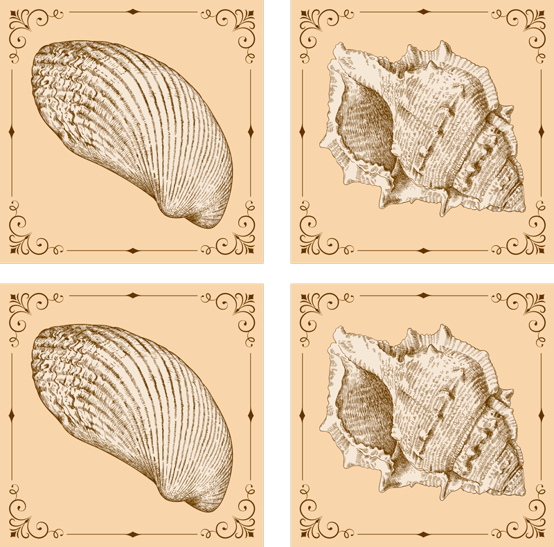 Vintage seashells animal vinyl rug - TenStickers