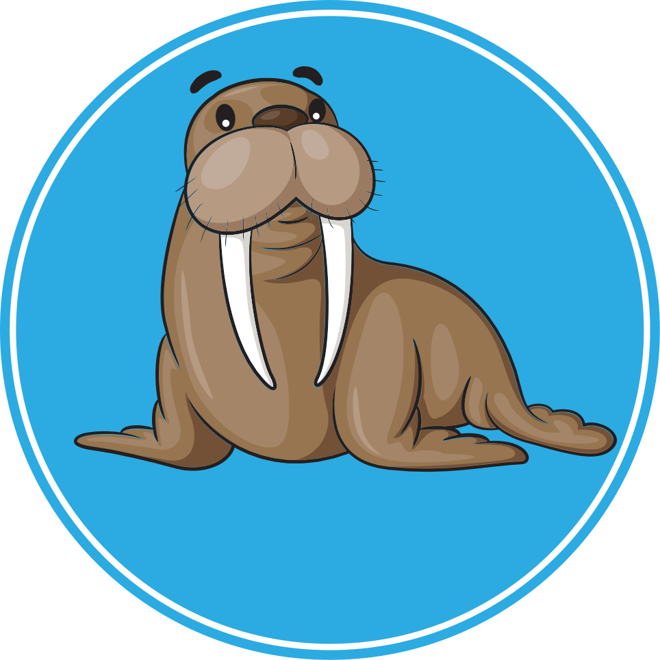 Cute walrus character animal vinyl rug - TenStickers