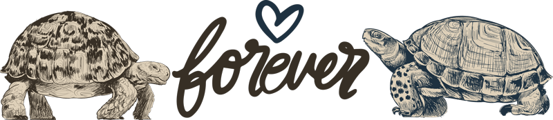 Animal vinyl rug turtles forever love quote - TenStickers