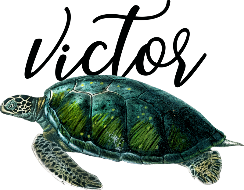 Animal vinyl rug with customizable turtle design - TenStickers