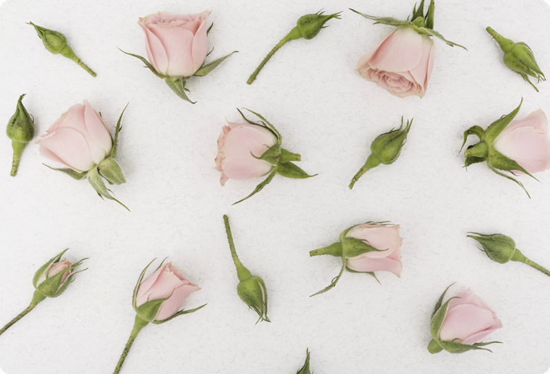 Flower vinyl rug romantic spring blossom - TenStickers