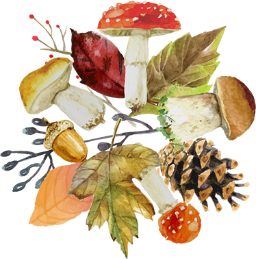 Flower vinyl rug with autumn touches - TenStickers