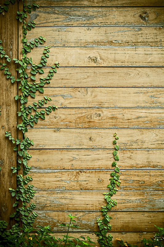 Flower vinyl rug vines on wood design - TenStickers