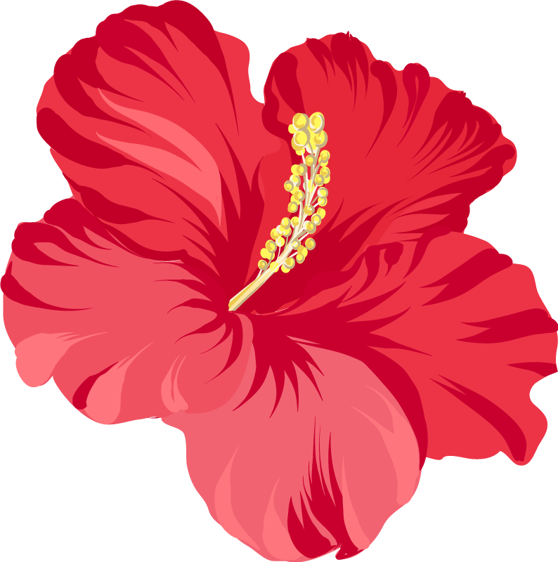 Flower vinyl rug red hibiscus flower set - TenStickers