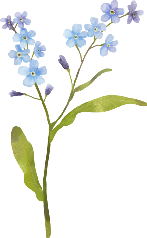 Forget-me-not flower vinyl rug - TenStickers