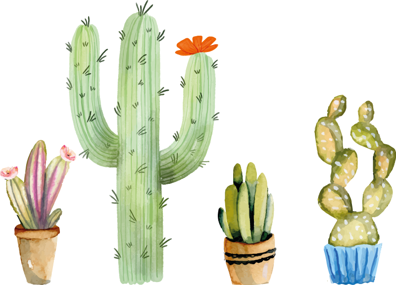 Dining room vinyl rug set of assorted cacti - TenStickers