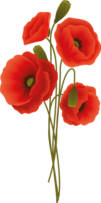 Delicate poppies bathroom vinyl rug - TenStickers