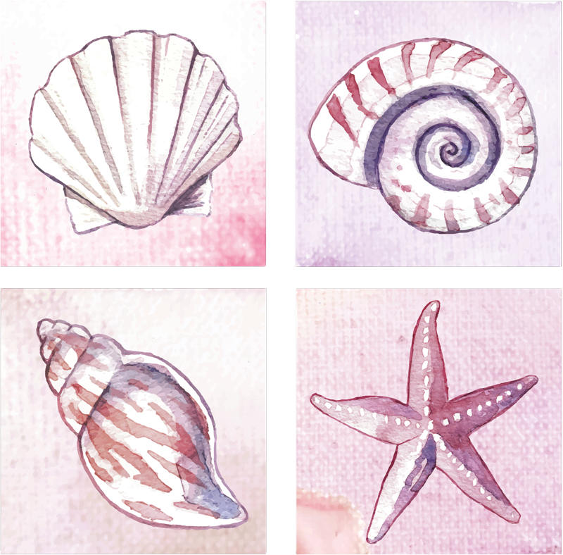 Bathroom vinyl rug sea life patterns - TenStickers