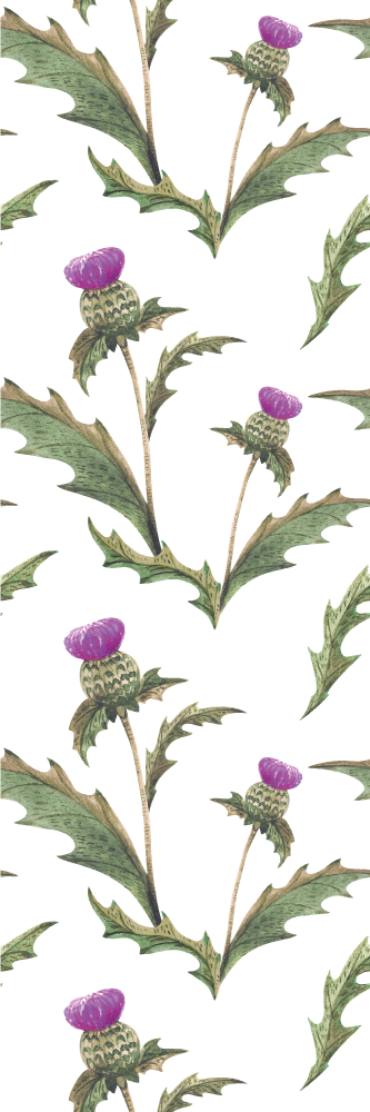 Bedroom vinyl rug scottish thistles design - TenStickers
