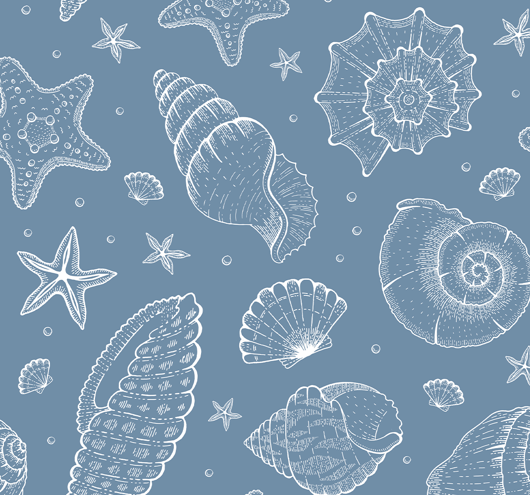 Bedroom vinyl rug with marine life and seashells - TenStickers