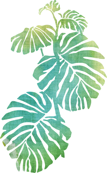 Flower vinyl rug monstera deliciosa - TenStickers