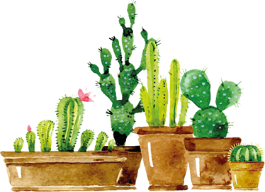 Flower vinyl rug with homemade cactus garden - TenStickers