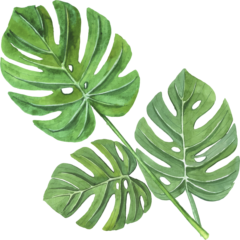Flower vinyl rug with monstera watercolor leaves - TenStickers