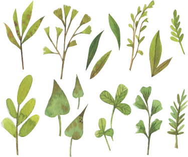 Flower vinyl rug aquarella small leaves - TenStickers