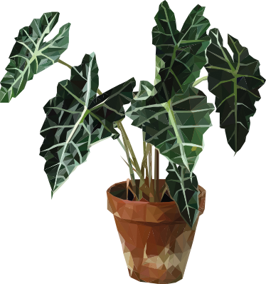 Flower vinyl rug with geometric plant pot - TenStickers