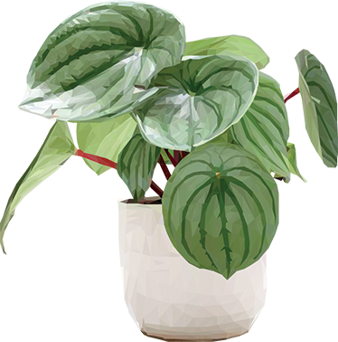 Flower vinyl rug for easy home greenery - TenStickers