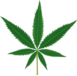 Flower vinyl rug with marijuana leaf design - TenStickers